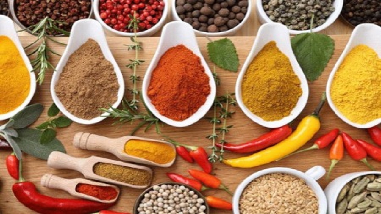 آموزش آشپزی؛ از زاتزیکی ماست و خیار یونانی و برنج سرخ شده با طعمی خاص تا کیک پنیری شکلاتی خوشمزه + تصاویر