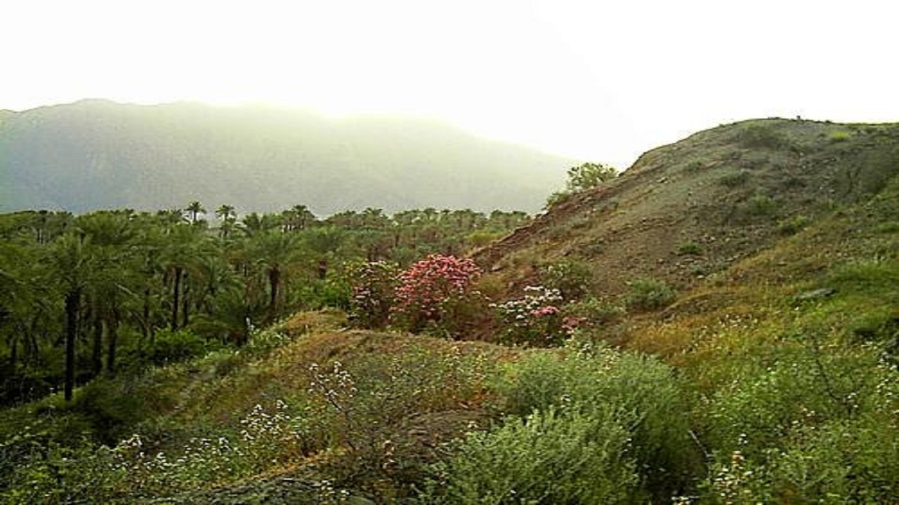 نجات گردشگران گمشده در جنگل ابر شاهرود
