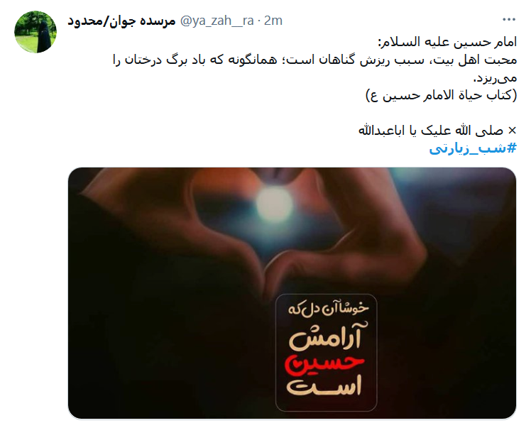 میان این همـه آشوب و بیقراریِ شهر / حسین امن&zwnj;ترین تکیه گاه نوکرهاست