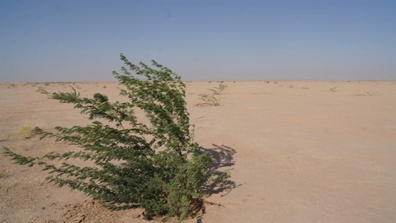 اجرای طرح بیابان‌زدایی در ۱۲هزار هکتار از بیابان های شرق اصفهان