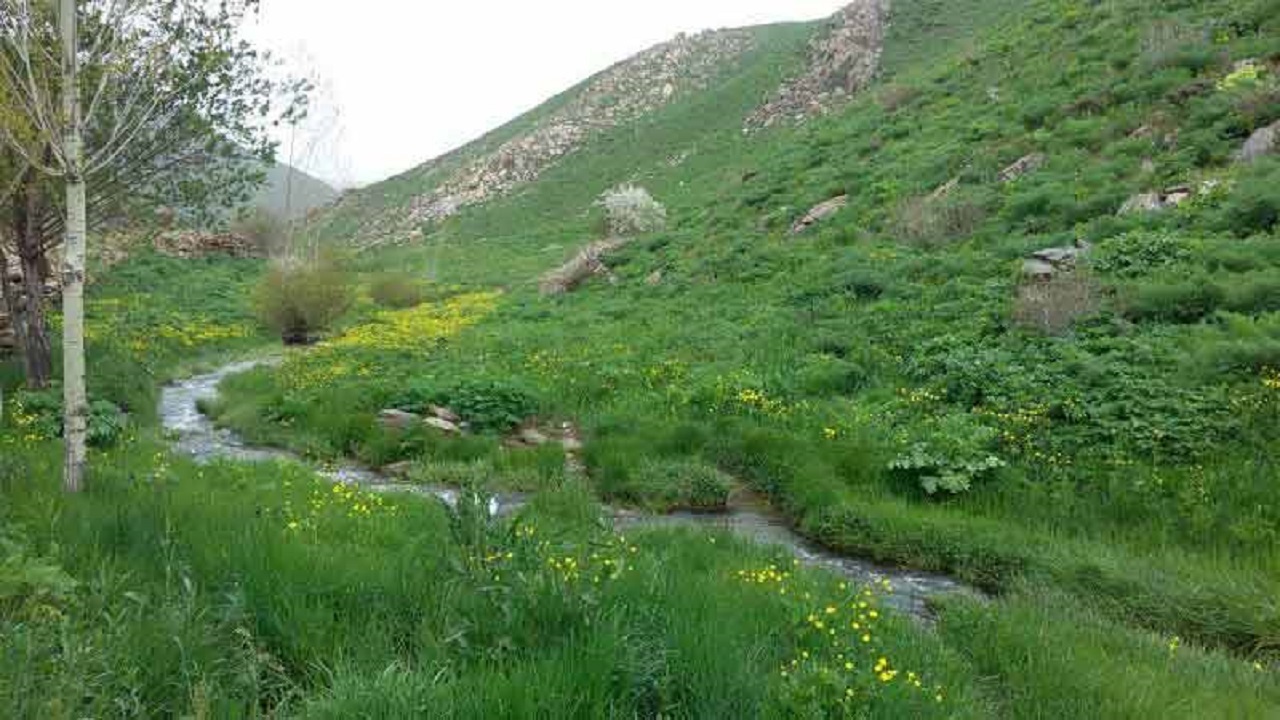 افراد توصیه‌های روز طبیعت را جدی بگیرند/ وقوع ۲۶ حریق در مراتع و جنگل‌ها از ابتدای تعطیلات