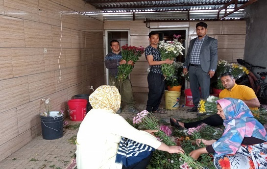تمام اهالی روستا با پرورش گل امرار معاش می&zwnj;کنیم