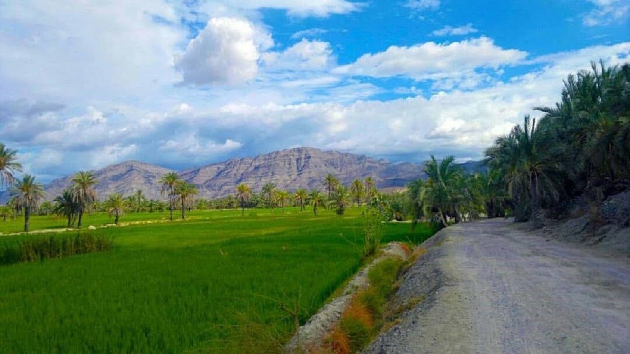 قاب زیبای شکوفه ها در طبیعت بکر قصرقند