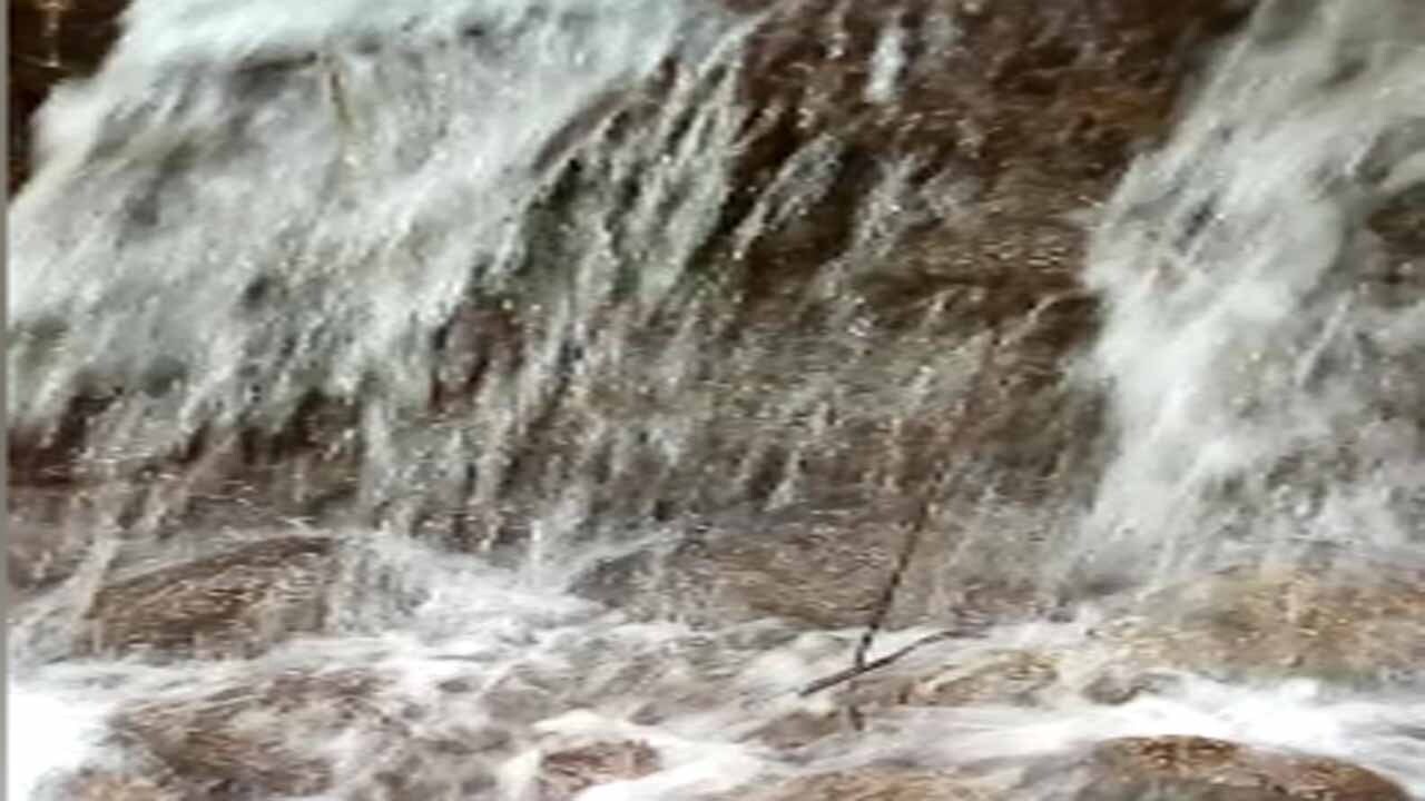 نمایی از طبیعت بکر و دوست‌داشتنی در  روستای خریون + فیلم و تصاویر
