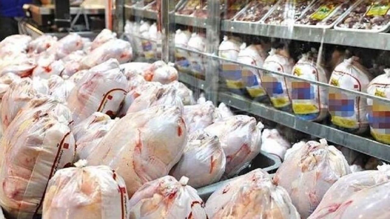 شناسایی ۱۶۰ تخلف در حوزه مرغ