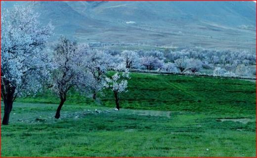 نشان اصالت یونسکو بر آثار خاتم اصفهان/ جشن تولدی که ۱۰ نفر را کرونایی کرد/ آغاز عملیات اکتشاف نفت و گاز در گلستان
