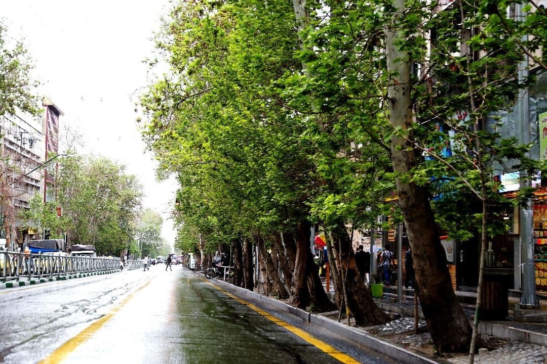 استاندارد سازی اقدامات ثبت جهانی خیابان، ولی عصر (عج) در حال انجام است