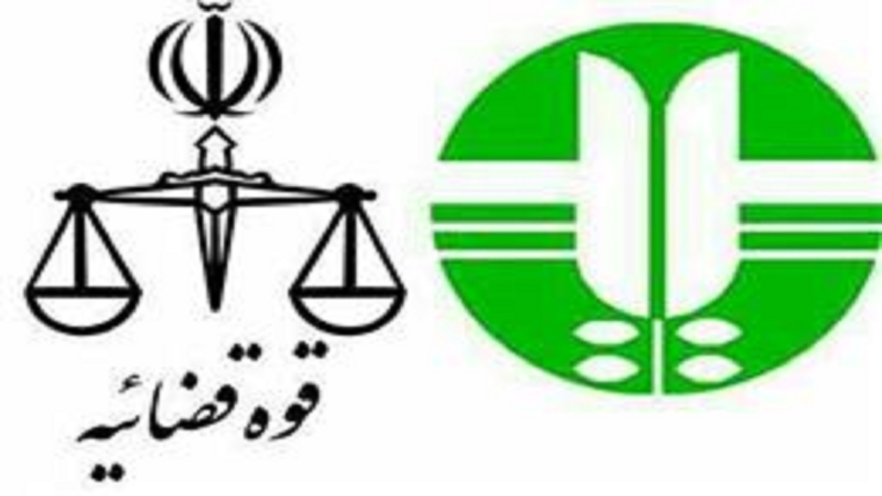 محکومیت قاچاقچی چوب جنگلی به پرداخت ۶۰ میلیون تومان جزای نقدی