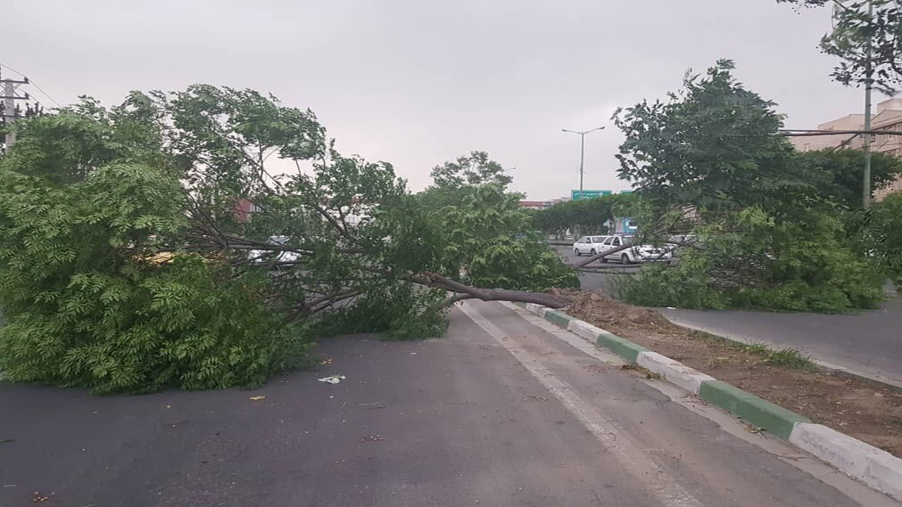 تندباد با سرعت ۹۸ کیلومتر برساعت سنخواست خراسان شمالی را درنوردید