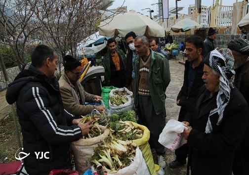 رستاخیز طبیعت در مهاباد با رویش گیاهان خوراکی رستاخیز طبیعت در مهاباد با رویش گیاهان خوراکی