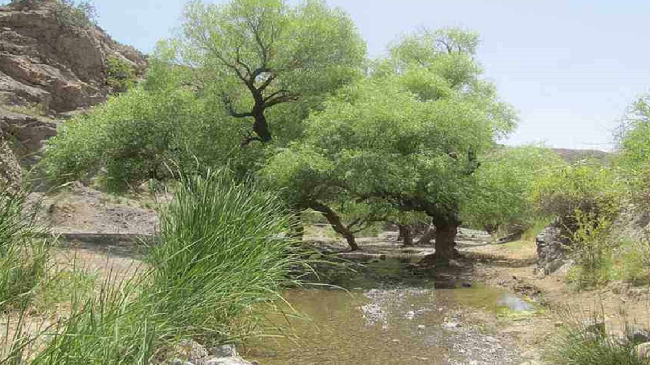 ارتقای روستای گرماب به شهر در شهرستان فیروزه