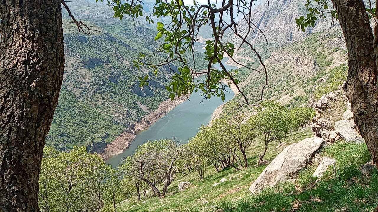 تصاویری از طبیعت بهاری در منطقه اورامان