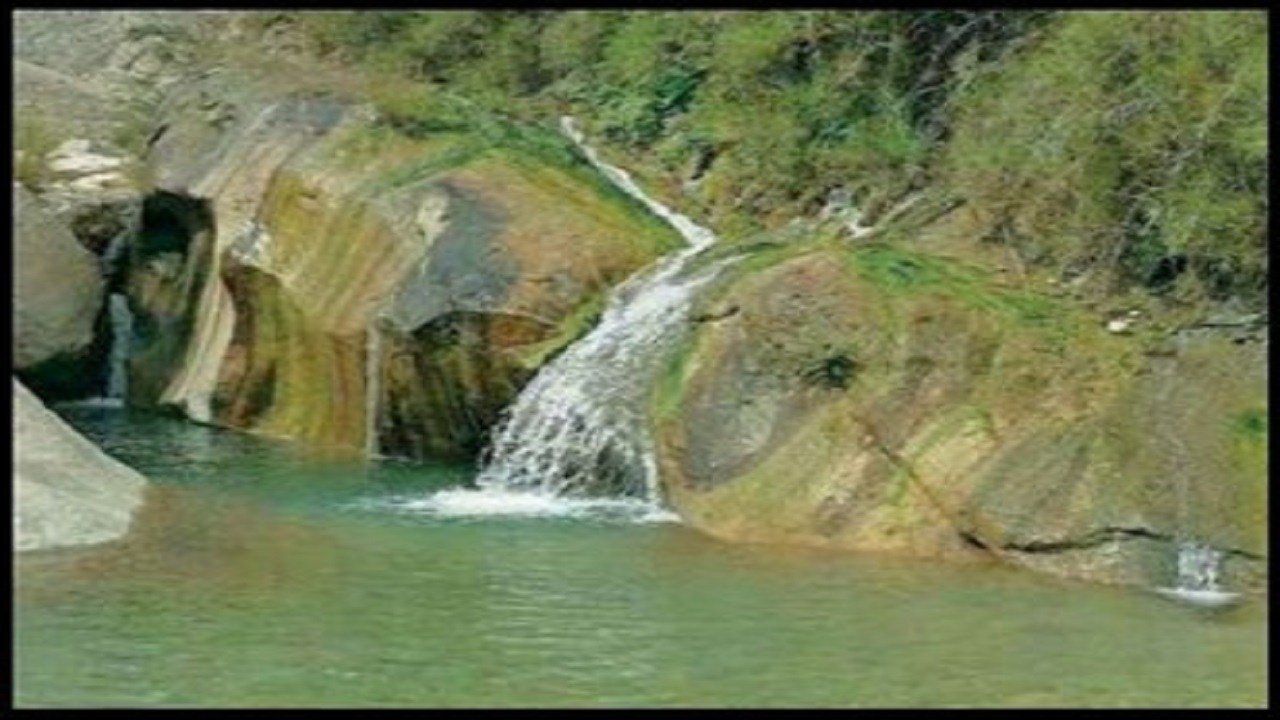 سلفی دختر نوجوان با مرگ