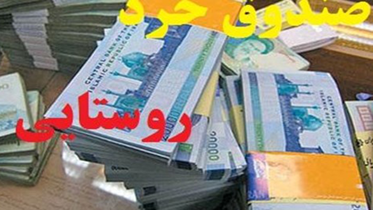 بیش از ۱۲۰۰ زن در شیراز عضو صندوق‌های خُرد روستایی هستند
