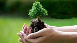 فوتبال دیدنی لاک‌پشت و سگ + فیلم