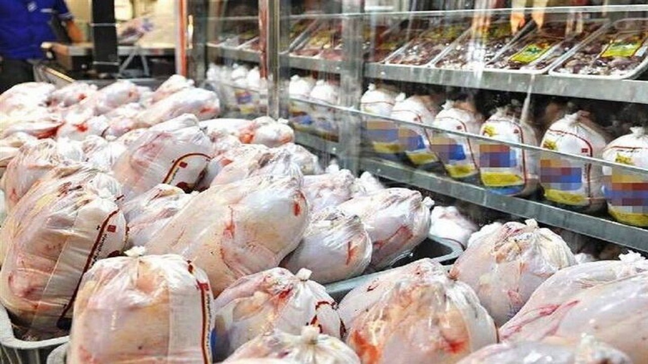تشکیل ۲۵۴ پرونده تخلف فروش گوشت مرغ در خراسان رضوی!