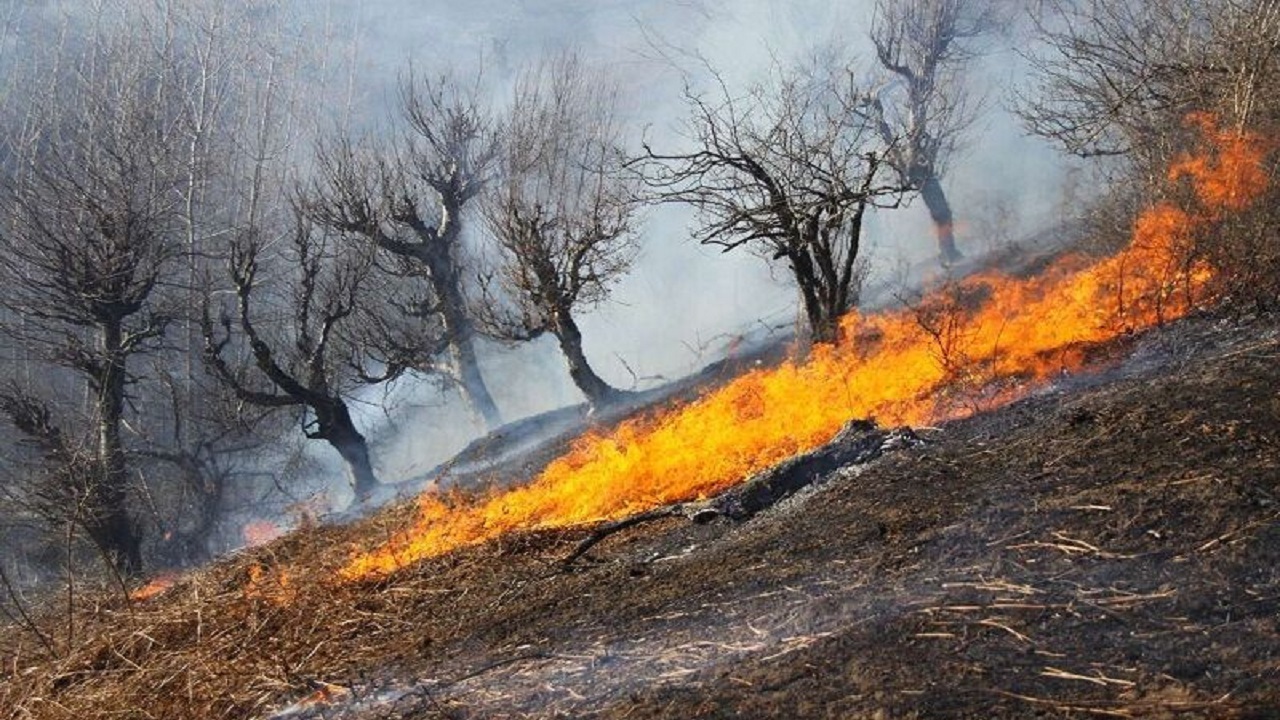 وقوع ۴۴ فقره آتش سوزی در  مناطق حفاظت شده استان قزوین