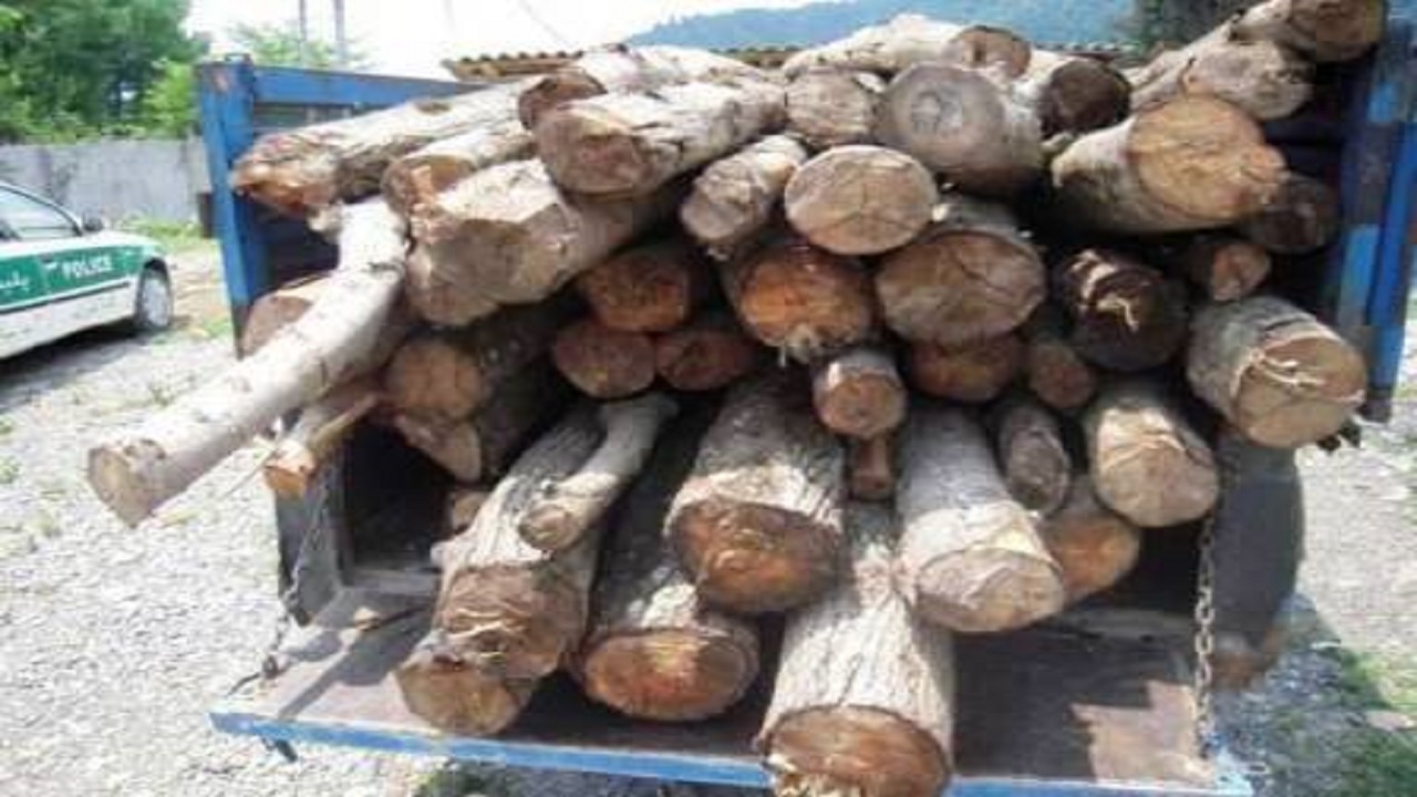 کشف و ضبط ۶۹۰ کیلوگرم چوب قاچاق در لردگان