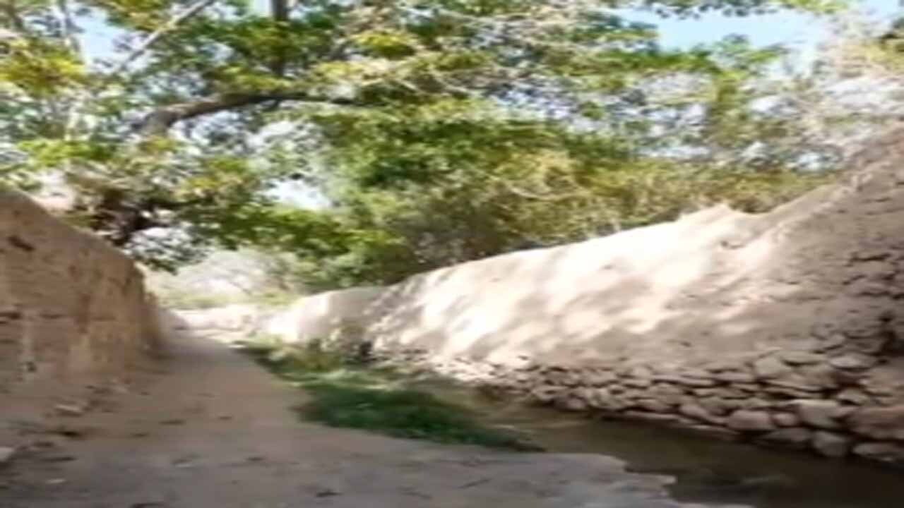 حال و هوای وصف‌ناشدنی فصل بهار در آران و بیدگل + فیلم