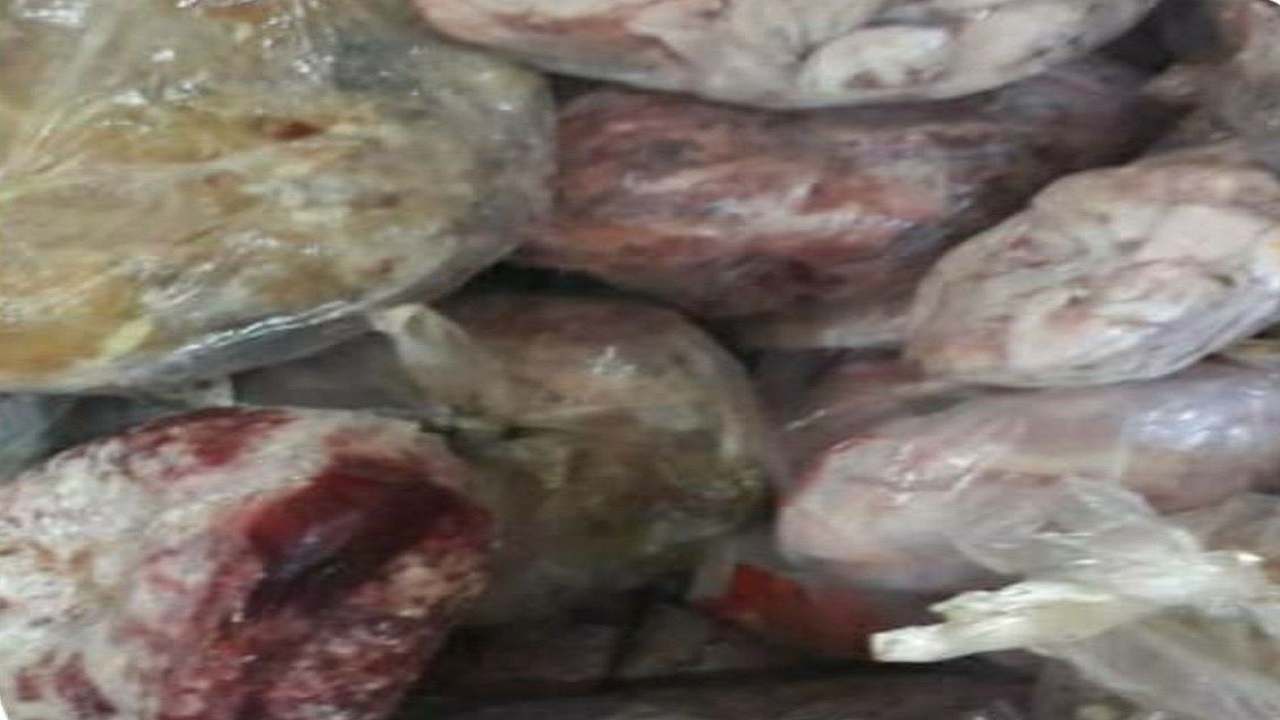 کشف گوشت مرغ و گوشت قرمز فاسد در زبرخان