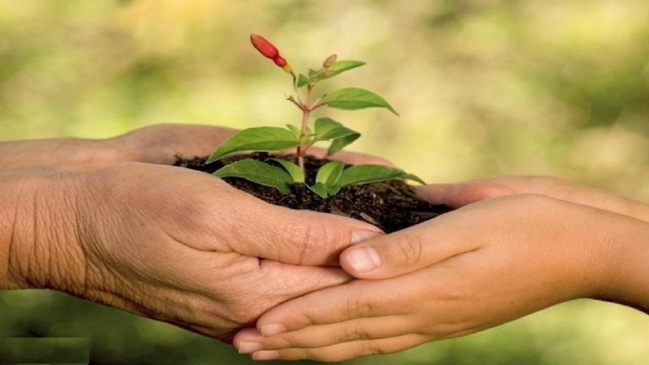 طرح توان افزایی و خودارزیابی سمن‌های محیط زیستی