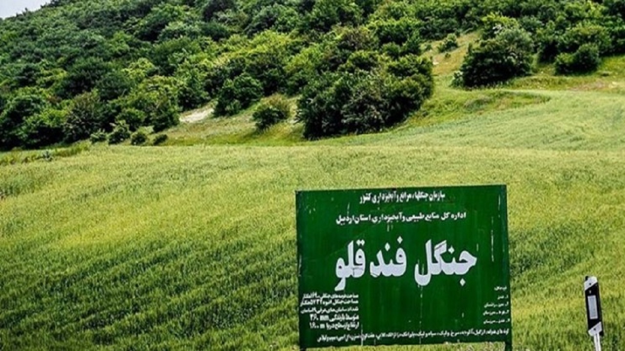 توقف قرارداد واگذاری بخشی از پهنه‌های جنگلی و مرتعی در اردبیل