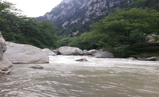 زیبایی شکوفه های بهاری در اشکورات رودسر
