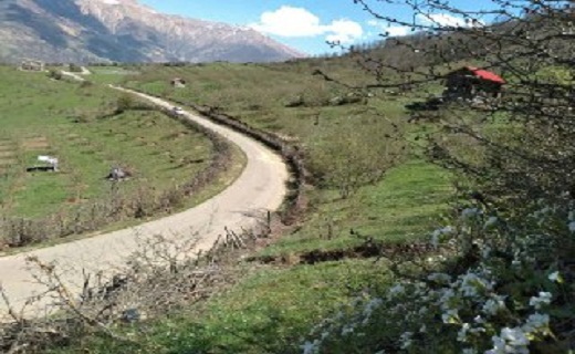 زیبایی شکوفه های بهاری در اشکورات رودسر