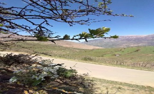 زیبایی شکوفه های بهاری در اشکورات رودسر