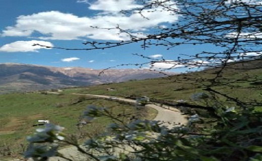 زیبایی شکوفه های بهاری در اشکورات رودسر