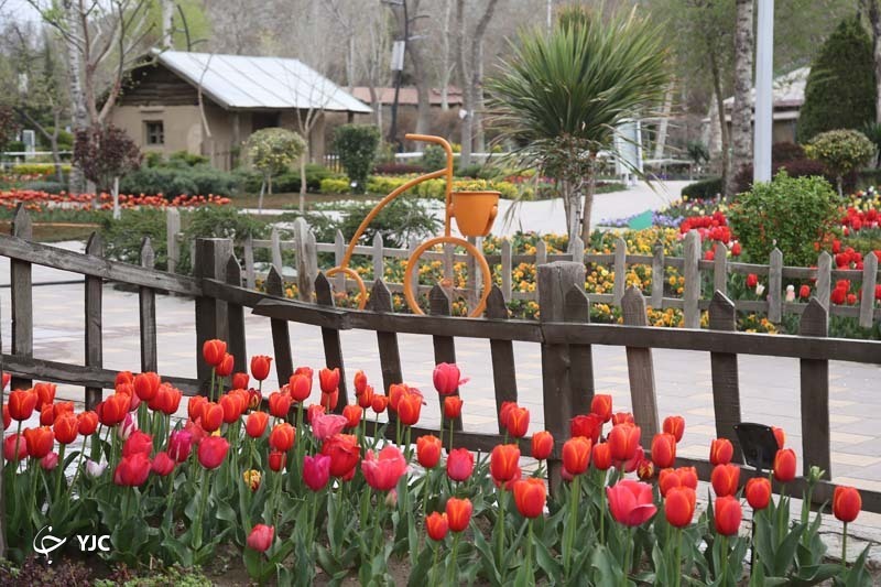با ما به باغ لاله&zwnj;های کرج بیایید