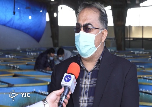ماهی هست، ولی دارد آب می&zwnj;رود
