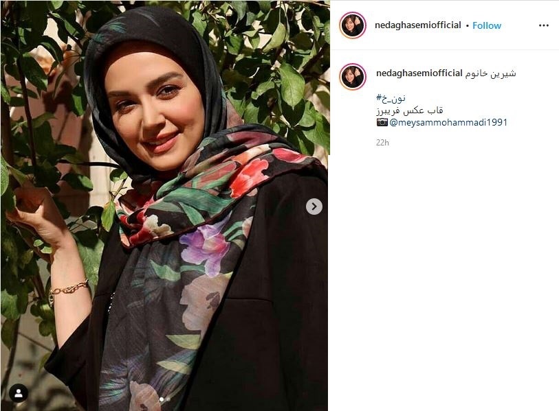 فلور نظری فلور نظری