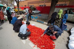 موج پنجم کرونا - زاهدان