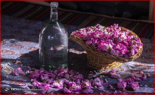 اما و اگر&zwnj;های اجاره نشینی در فصل کرونا/ مسجد مقدس جمکران تعطیل است؟/ رد پای خام فروشی در صنعت گلاب و اسانس