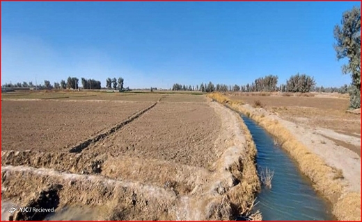 اما و اگر&zwnj;های اجاره نشینی در فصل کرونا/ مسجد مقدس جمکران تعطیل است؟/ رد پای خام فروشی در صنعت گلاب و اسانس