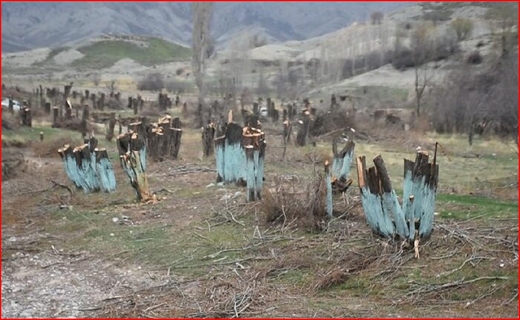 اما و اگر&zwnj;های اجاره نشینی در فصل کرونا/ مسجد مقدس جمکران تعطیل است؟/ رد پای خام فروشی در صنعت گلاب و اسانس