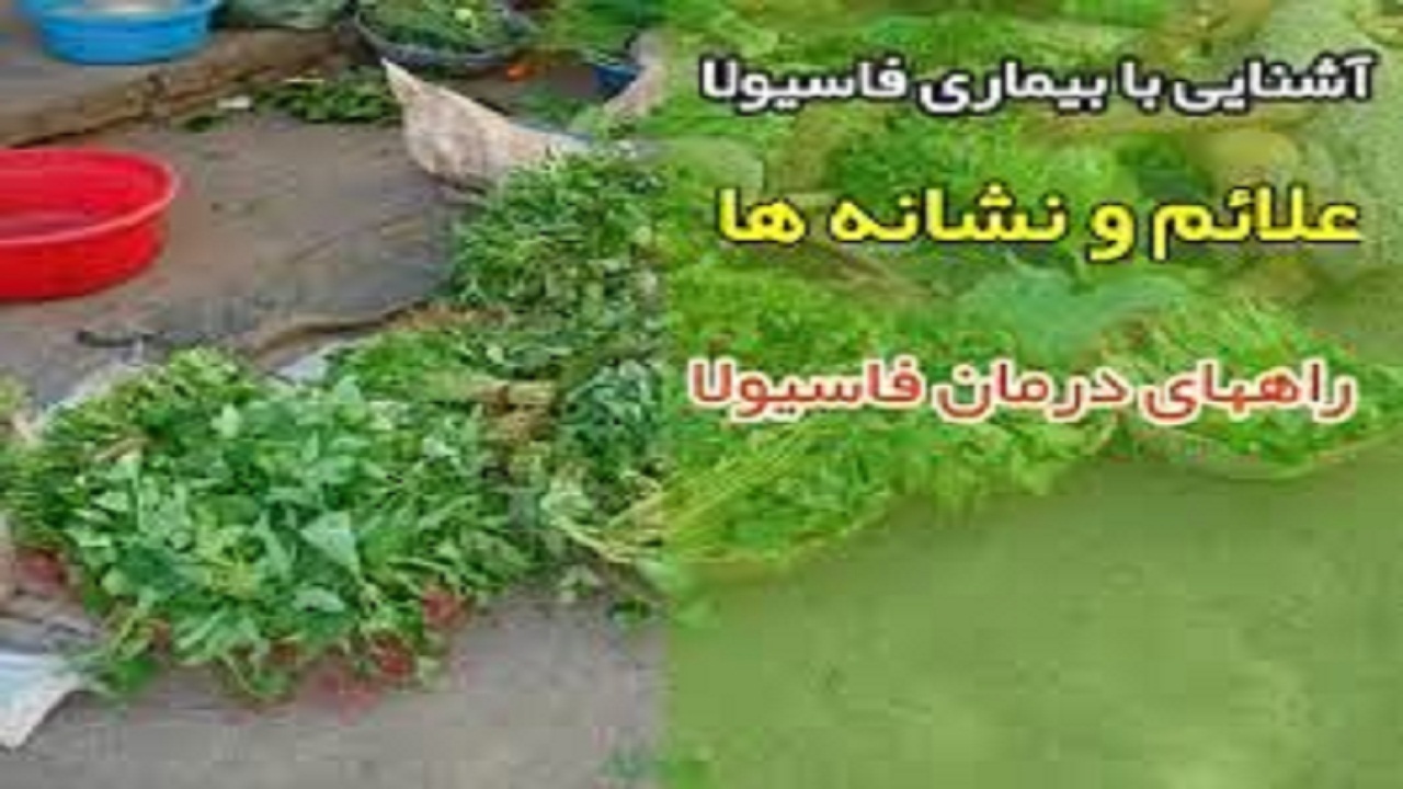 شیوع فاسیولا در گیلان