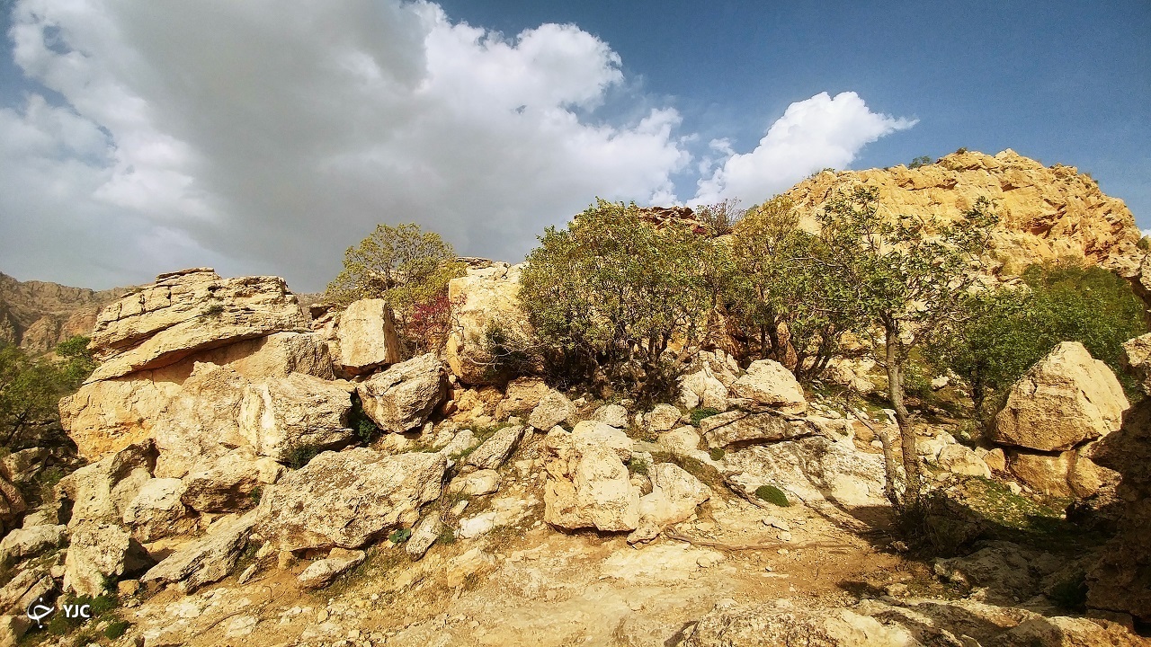 طبیعت زیبای دامنه کوه شلم ایلام+ عکس