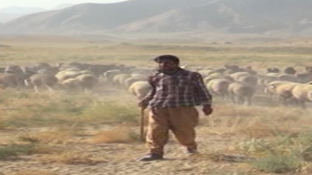 آغاز کوچ عشایر در خنج