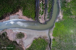 فرار از گرمای تابستان بوشهر