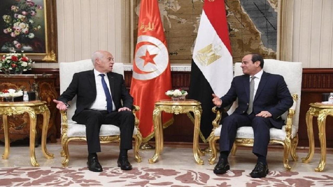 گفتگوی روسای جمهور مصر و تونس درباره شرایط لیبی