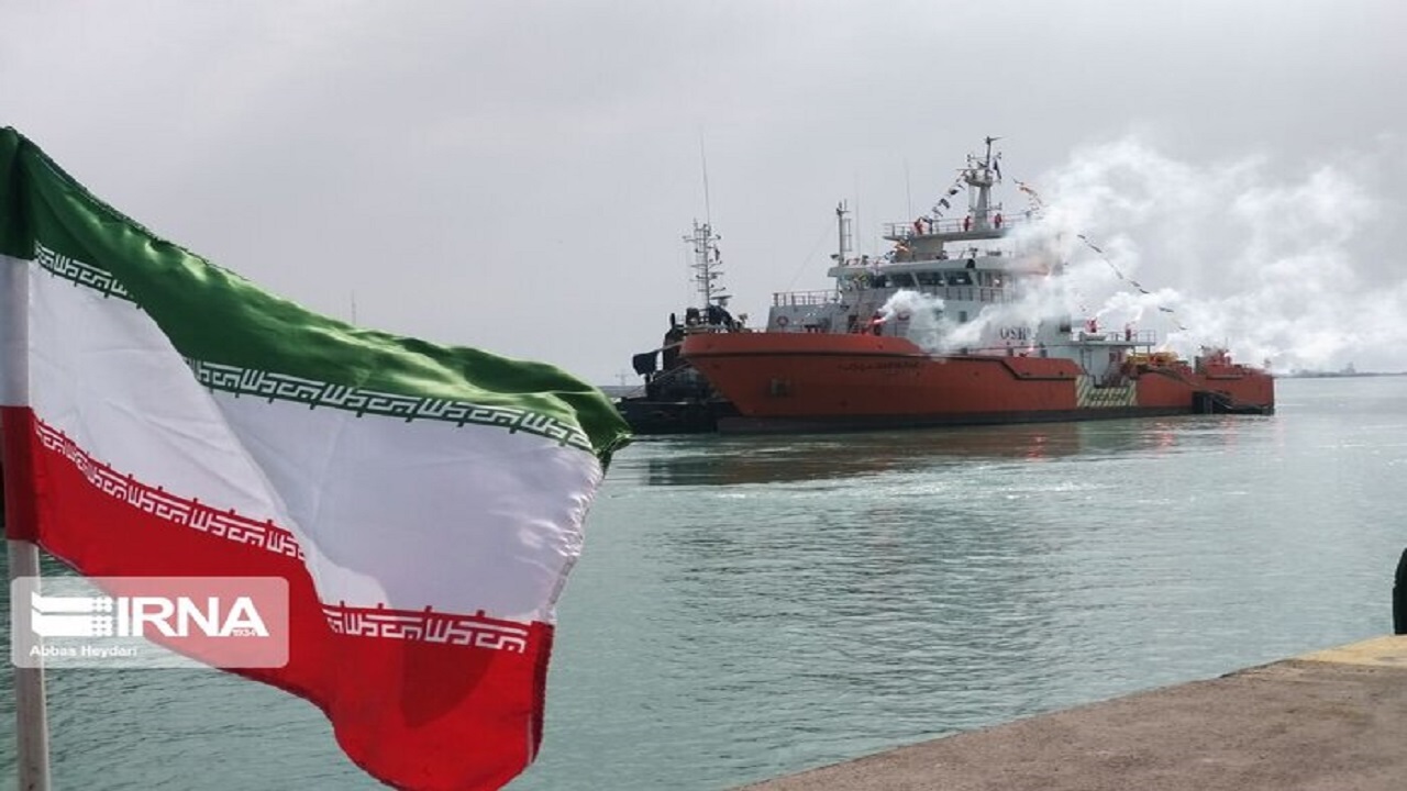 آلودگی&zwnj;ها نفس آبزیان خلیج فارس را به شماره انداخته&zwnj;اند