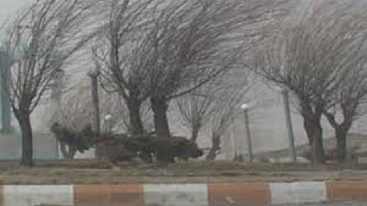 باد و باران البرز را فرامی گیرد