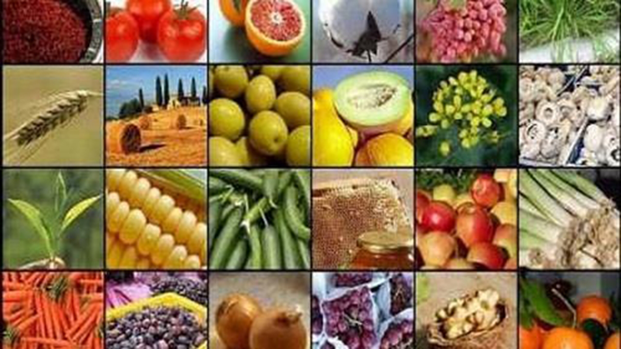 دریافت ۶۲ نشان حدمجاز آلاینده‌ها در فارس