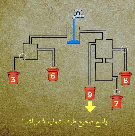با پاسخ به سوالات این تست هوش، یک چالش جدید را تجربه کنید + جواب