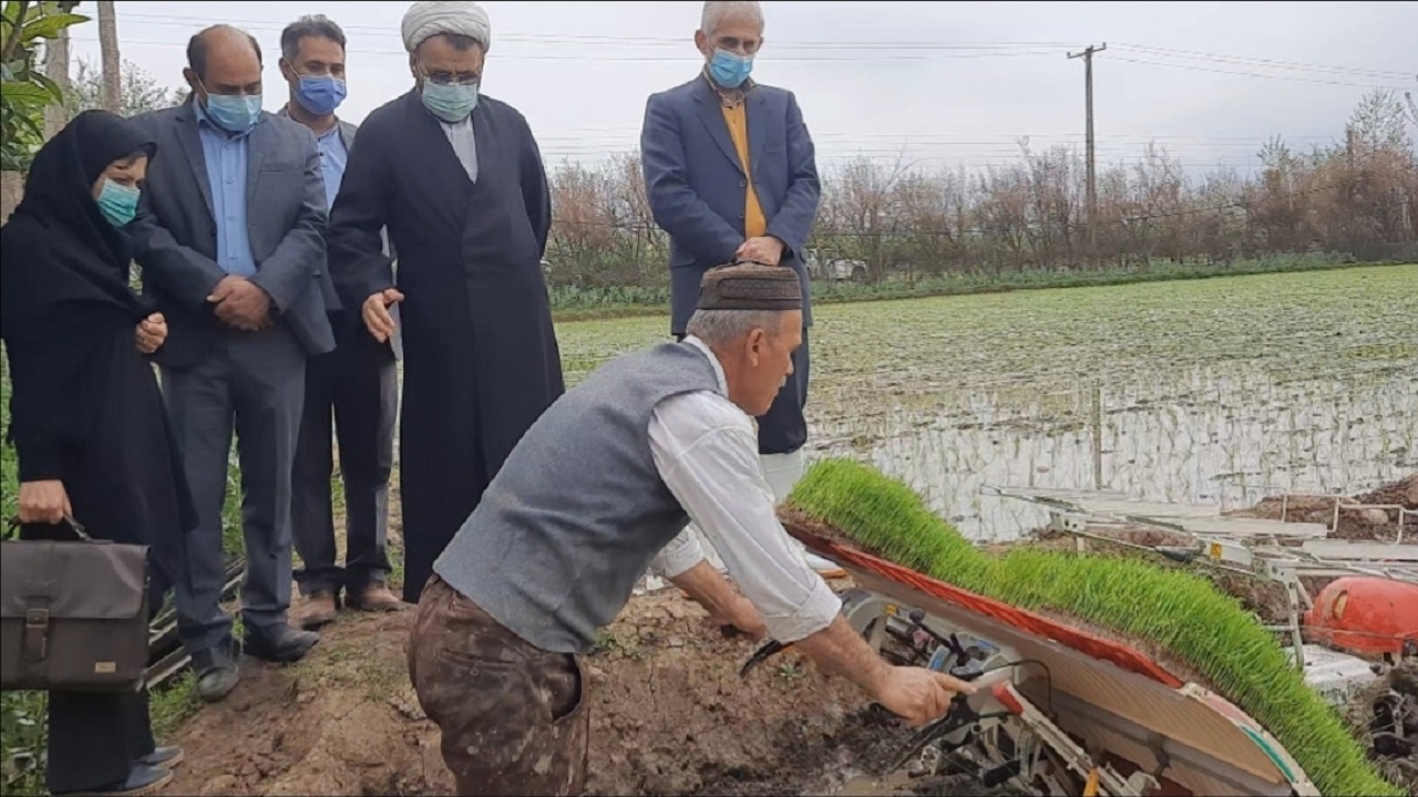 آغاز نخستین کشت ماشینی برنج در گیلان