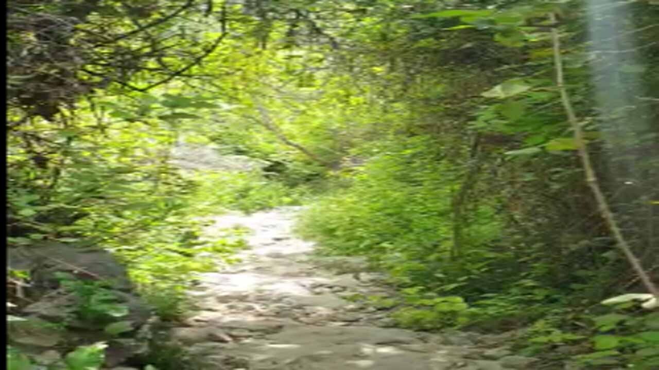 از از
