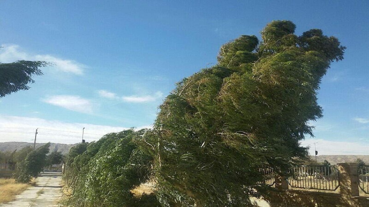 عصرامروز باد نسبتاً شدیدی می‌وزد