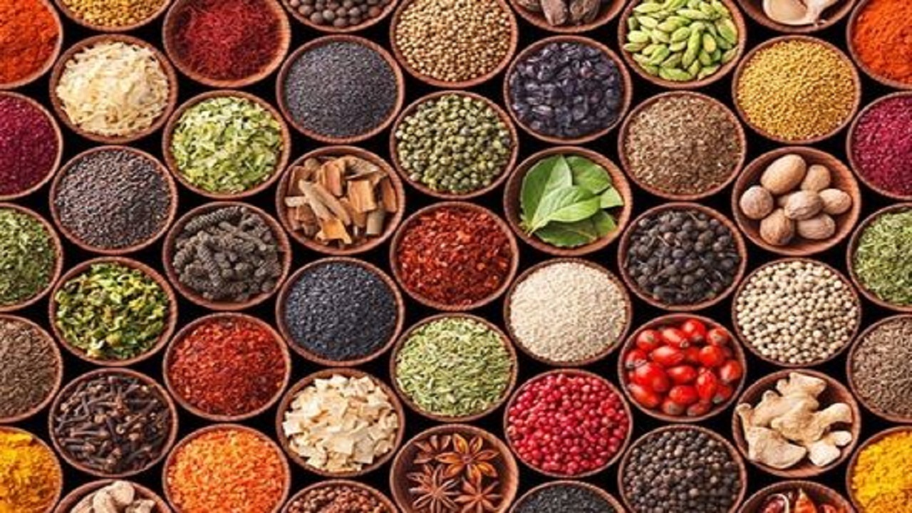 گنجی سبز روییده از دل کویر/ ظرفیتی که زخم خورده از بی توجهی است